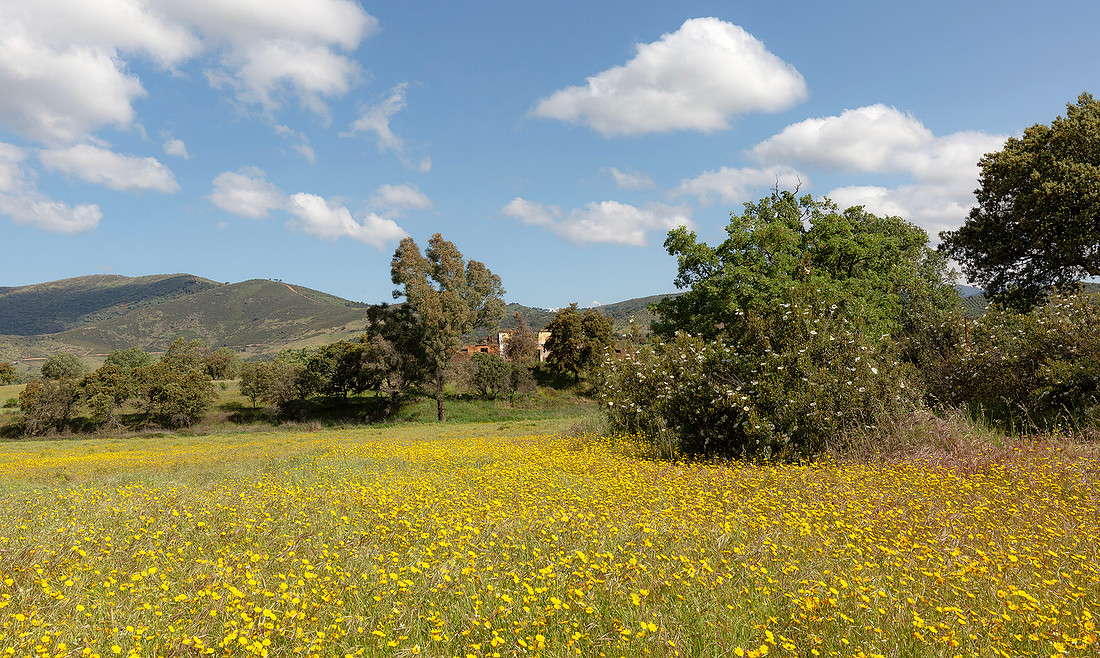 Abandoned farm, Logrosán, España 2019, S1A4062 def rec X k