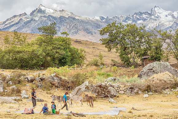 Quinoa dorsen, threshing quinoa, Cordillera Blanca, Perú 2015