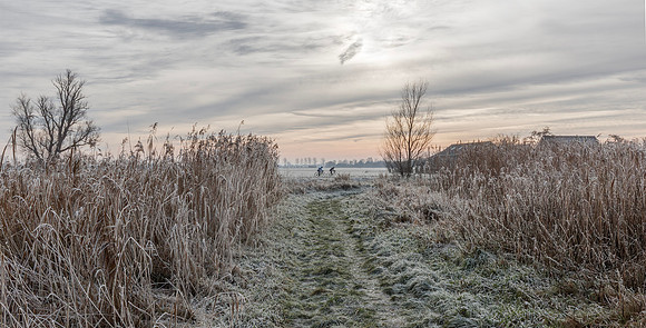 Landschap met Wielrenners, Waverhoek 2021