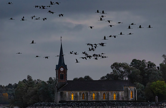 Kraanvogels boven L Église Saint-Laurent de Champaubert, Crane migration, France 2019