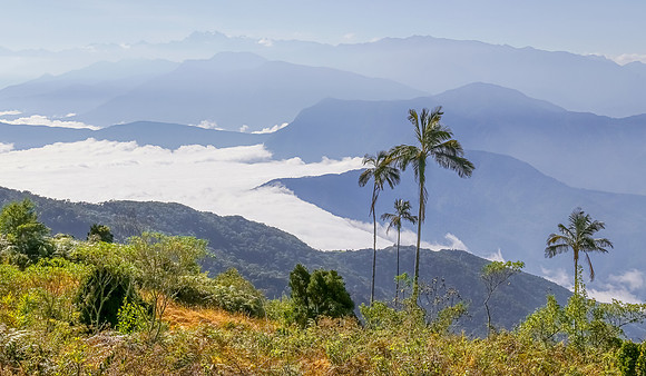 Santa Marta Mountains, Colombia 2015