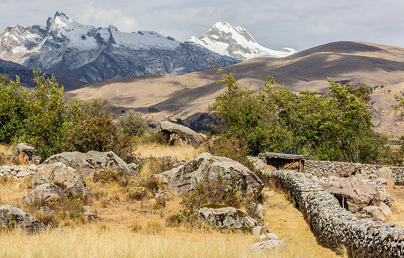 Quinoa velden, quinoa fields, Cordillera Blanca, Perú 2015