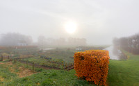 Volkstuinen, Wagendijk, Kockengen 26-11-2016, S1A8538 def rec X III