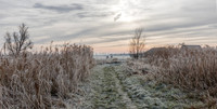 Landschap met wielrenners, Waverhoek 2021, S1A2496 def rec X
