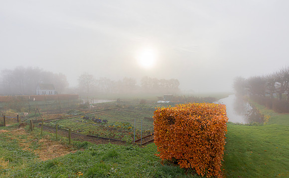 Tuintjes, Wagendijk, Kockengen 2016