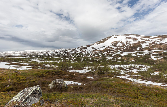 Sweden, Storulvan, Vålådalen,  Handöl 2022