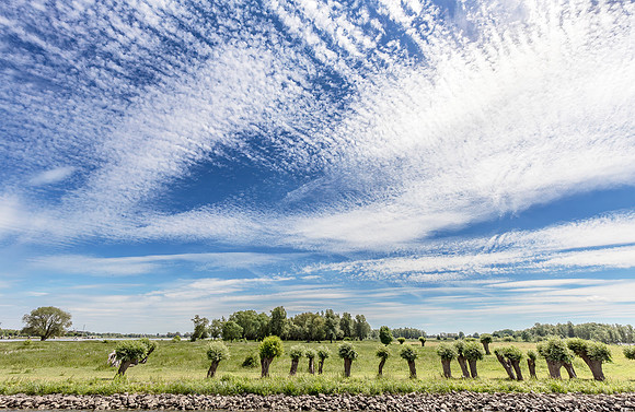 Rivierlandschap bij Sleeuwijk. Riverscape near Sleeuwijk 2017