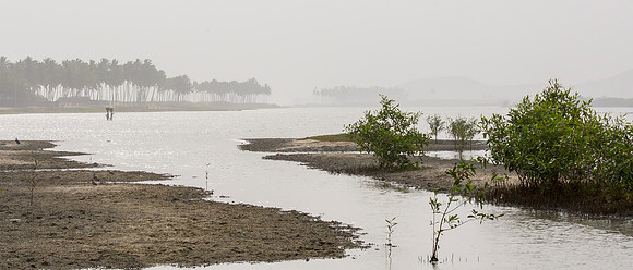 Cape Coast Lagoon, Ghana 2016