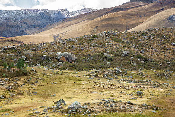 Herderin met hond en schapen. Shepherdess with dog and sheep, Cordillera Blanca, Perú 2015