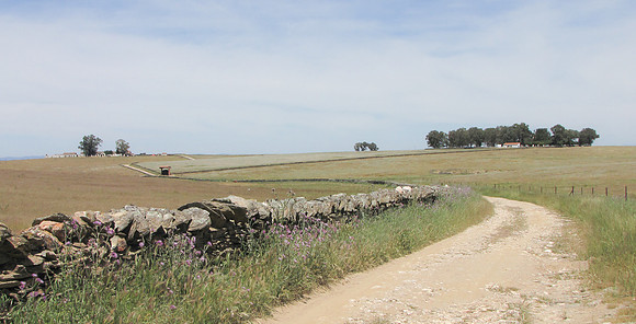 Spain, Extremadura, near Trujillo 2014