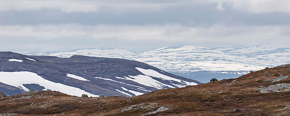 Sweden, Jämtland, Storlien, Larsvalen 2022
