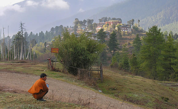 On the road to Gangtey Gompa, highlighted during a foggy morning, March 2005