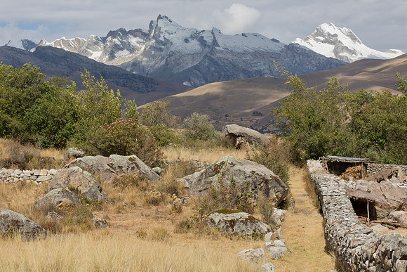 Peru, quinoa fields, Cordillera Blanca 2015