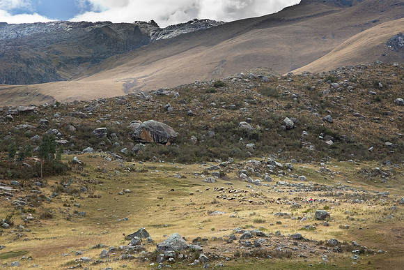 Peru, Shepherdess with dog and sheep, Cordillera Blanca 2015