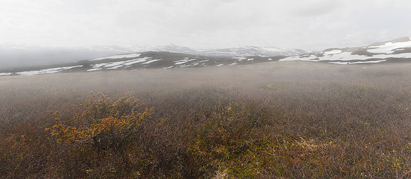 Sweden, Vålådalen, Jämtland 2022