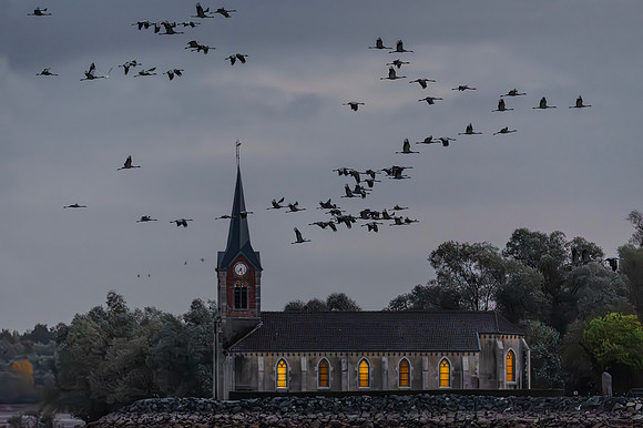 Kraanvogels, voor L Église Saint-Laurent de Champaubert, 2019