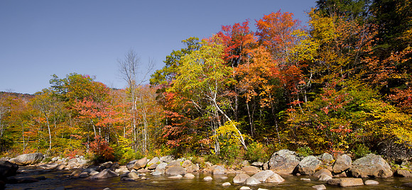 US, Fall foliage, New Hampshire 2017