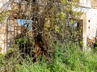 Abandoned farm, cortijo abandonado, Logrosan, España 2019