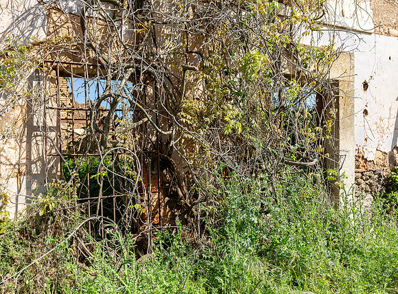 Abandoned farm, cortijo abandonado, Logrosan, España 2019