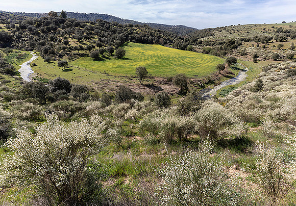Spain, Landscape in de Sierra de Guadalupe, Berzocana 2019