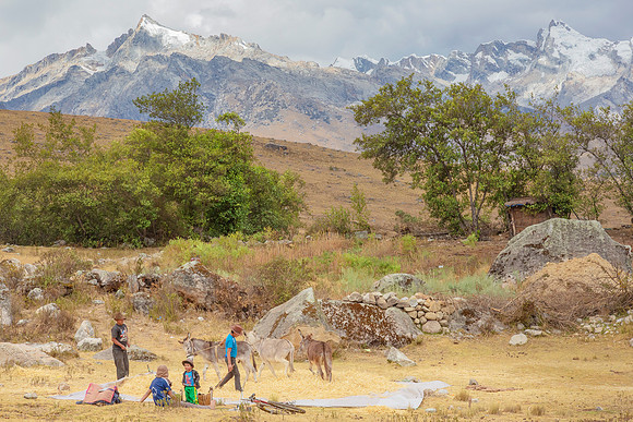 Peru, farmers threshing quinoa, Cordillera Blanca 2015