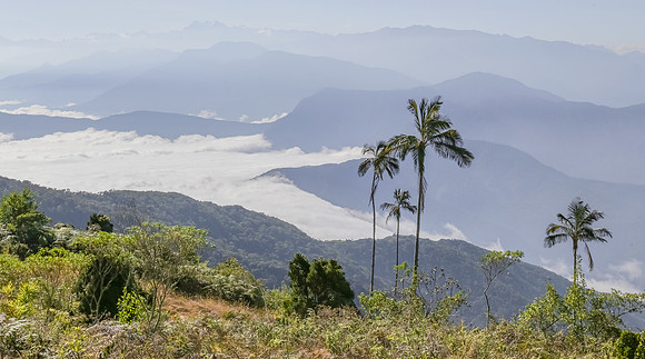 view on Sierra Nevada de Santa Marta, Colombia 2015 def rec