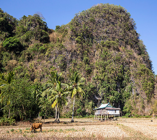 Indonesia, Karst landscape in South Sulawesi 2018