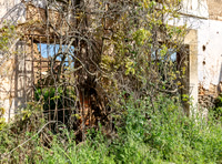 Abandoned farm, cortijo abandonado, Logrosan, España 2019, S1A3910 def rec X