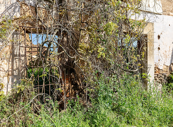 Abandoned farm, cortijo abandonado, Logrosan, España 2019, S1A3910 def rec X