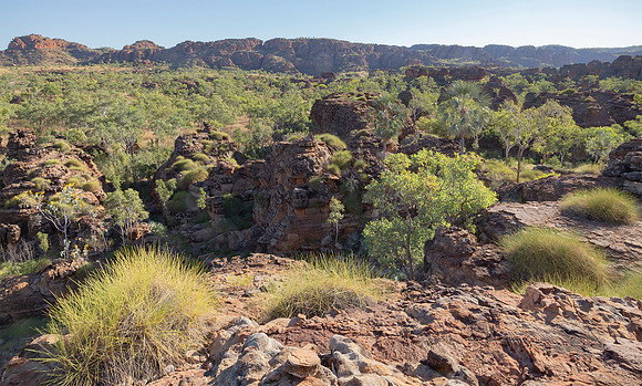 Australia, Keep River NP, NT 2016