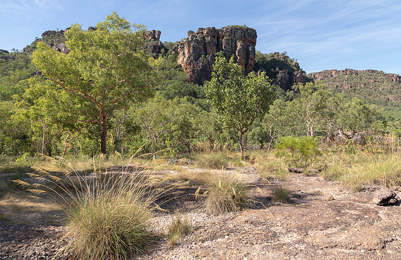 Australia, Kakadu NP, NT 2016