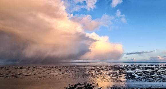 Texel Wad 2025