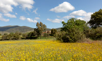 Abandoned farm, Cortijo abandonado, Exstremadura, España 2019